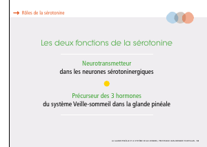 La_glande_pinéale-Systeme_veille_sommeil_CONFERENCE_FRANCAIS - Vignette Page 31
