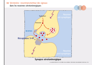 La_glande_pinéale-Systeme_veille_sommeil_CONFERENCE_FRANCAIS - Vignette Page 33