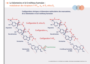 La_glande_pinéale-Systeme_veille_sommeil_CONFERENCE_FRANCAIS - Vignette Page 35