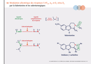 La_glande_pinéale-Systeme_veille_sommeil_CONFERENCE_FRANCAIS - Vignette Page 37