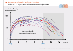 La_glande_pinéale-Systeme_veille_sommeil_CONFERENCE_FRANCAIS - Vignette Page 45