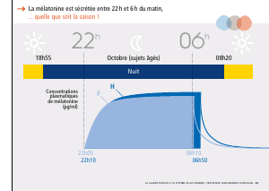 La_glande_pinéale-Systeme_veille_sommeil_CONFERENCE_FRANCAIS - Vignette Page 49