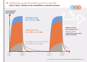 La_glande_pinéale-Systeme_veille_sommeil_CONFERENCE_FRANCAIS - Vignette Page 55