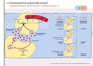 La_glande_pinéale-Systeme_veille_sommeil_CONFERENCE_FRANCAIS - Vignette Page 63
