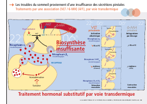 La_glande_pinéale-Systeme_veille_sommeil_CONFERENCE_FRANCAIS - Vignette Page 67