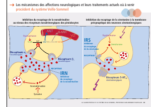 La_glande_pinéale-Systeme_veille_sommeil_CONFERENCE_FRANCAIS - Vignette Page 71