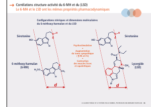 La_glande_pinéale-Systeme_veille_sommeil_CONFERENCE_FRANCAIS - Vignette Page 77