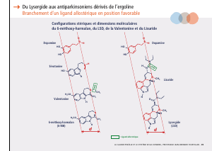 La_glande_pinéale-Systeme_veille_sommeil_CONFERENCE_FRANCAIS - Vignette Page 83