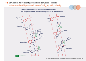 La_glande_pinéale-Systeme_veille_sommeil_CONFERENCE_FRANCAIS - Vignette Page 85