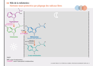 La_glande_pinéale-Systeme_veille_sommeil_CONFERENCE_FRANCAIS - Vignette Page 9