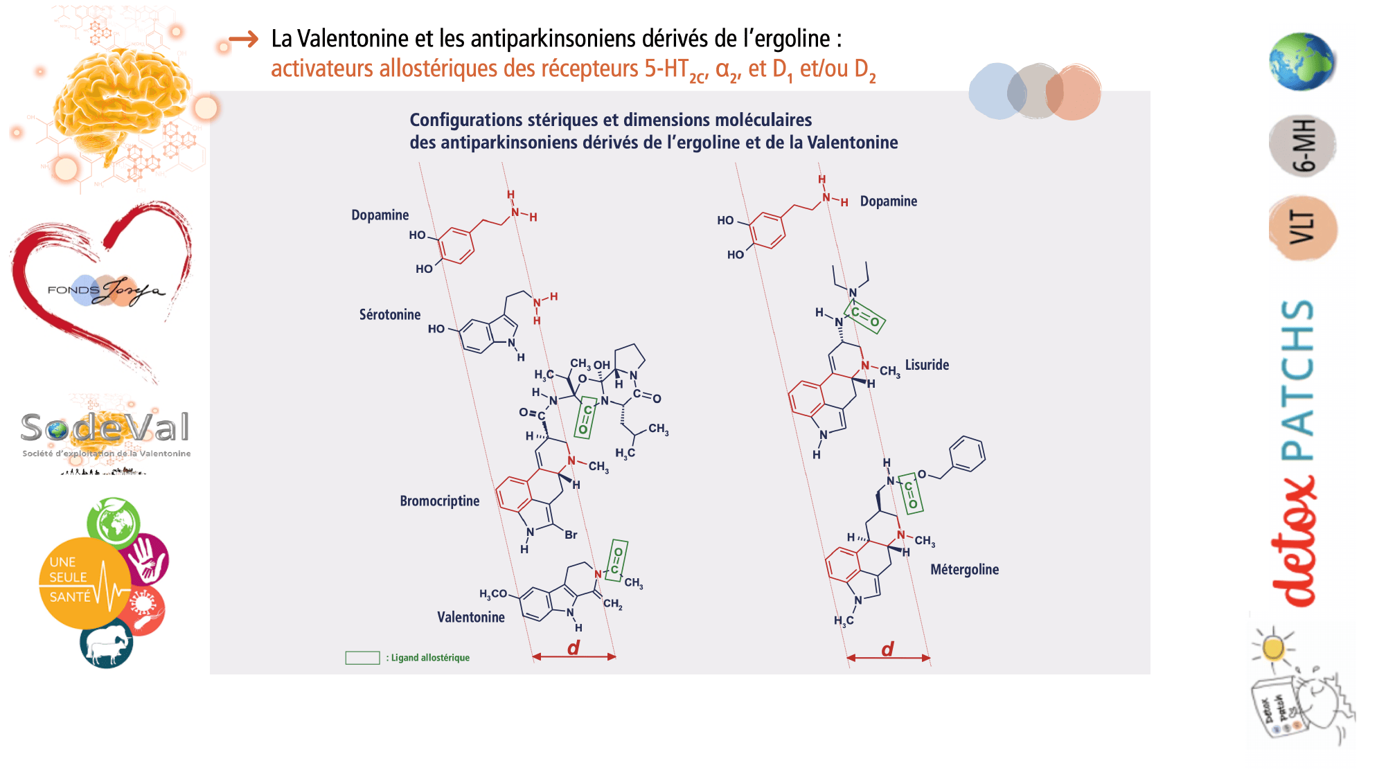 Presentation-DETOXPATCH - Page 39