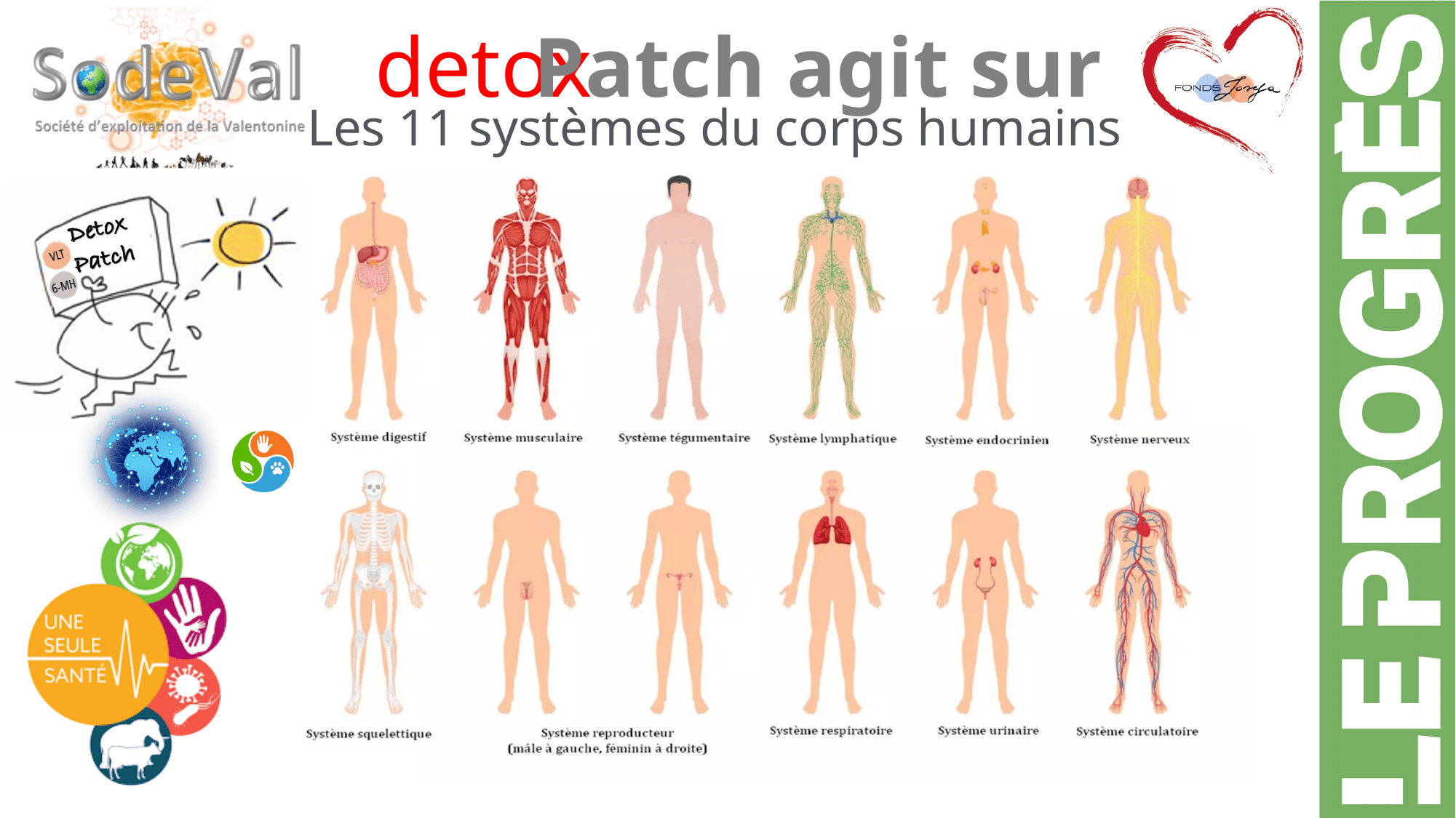 Presentation-DETOXPATCH - Page 51