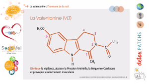 Presentation-DETOXPATCH - Vignette Page 13