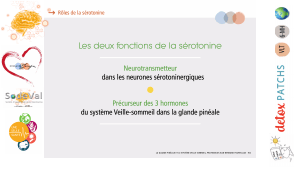 Presentation-DETOXPATCH - Vignette Page 18