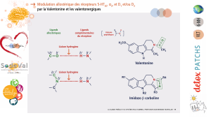 Presentation-DETOXPATCH - Vignette Page 21
