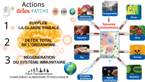 Presentation-DETOXPATCH - Vignette Page 3