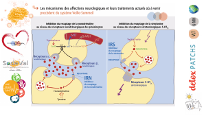 Presentation-DETOXPATCH - Vignette Page 37