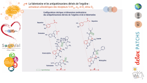Presentation-DETOXPATCH - Vignette Page 39