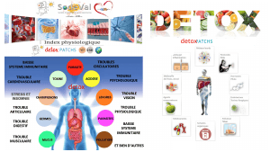 Presentation-DETOXPATCH - Vignette Page 4
