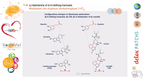 Presentation-DETOXPATCH - Vignette Page 43