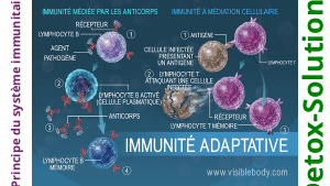 Presentation-DETOXPATCH - Vignette Page 49