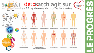 Presentation-DETOXPATCH - Vignette Page 51