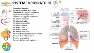 Presentation-DETOXPATCH - Vignette Page 60