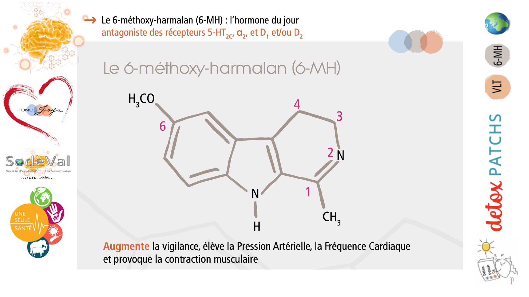 pourquoi-detoxpatch - Page 101