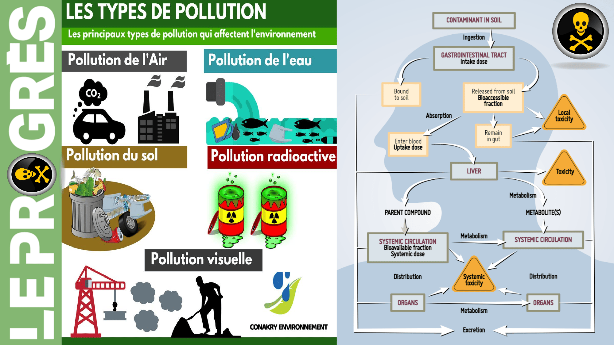 pourquoi-detoxpatch - Page 14
