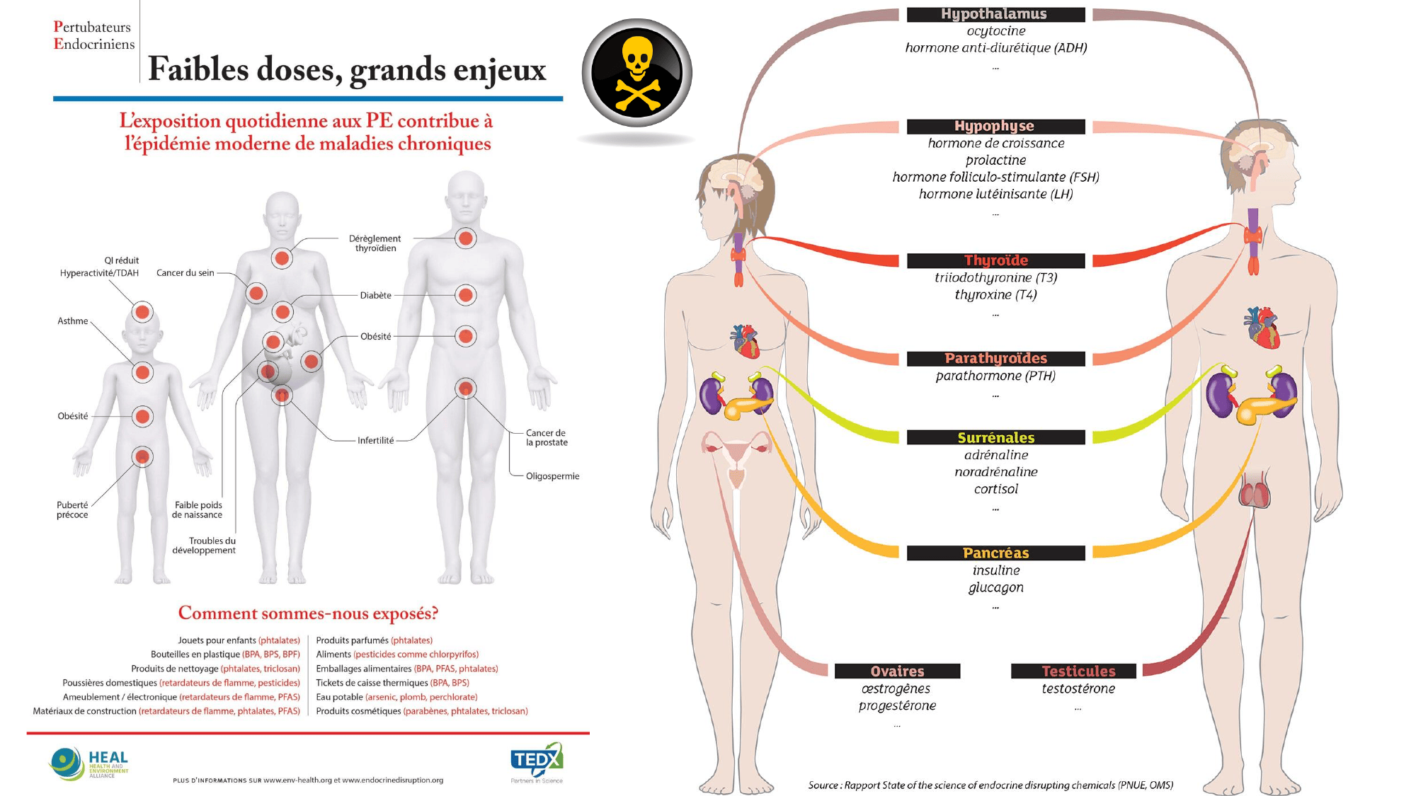 pourquoi-detoxpatch - Page 27