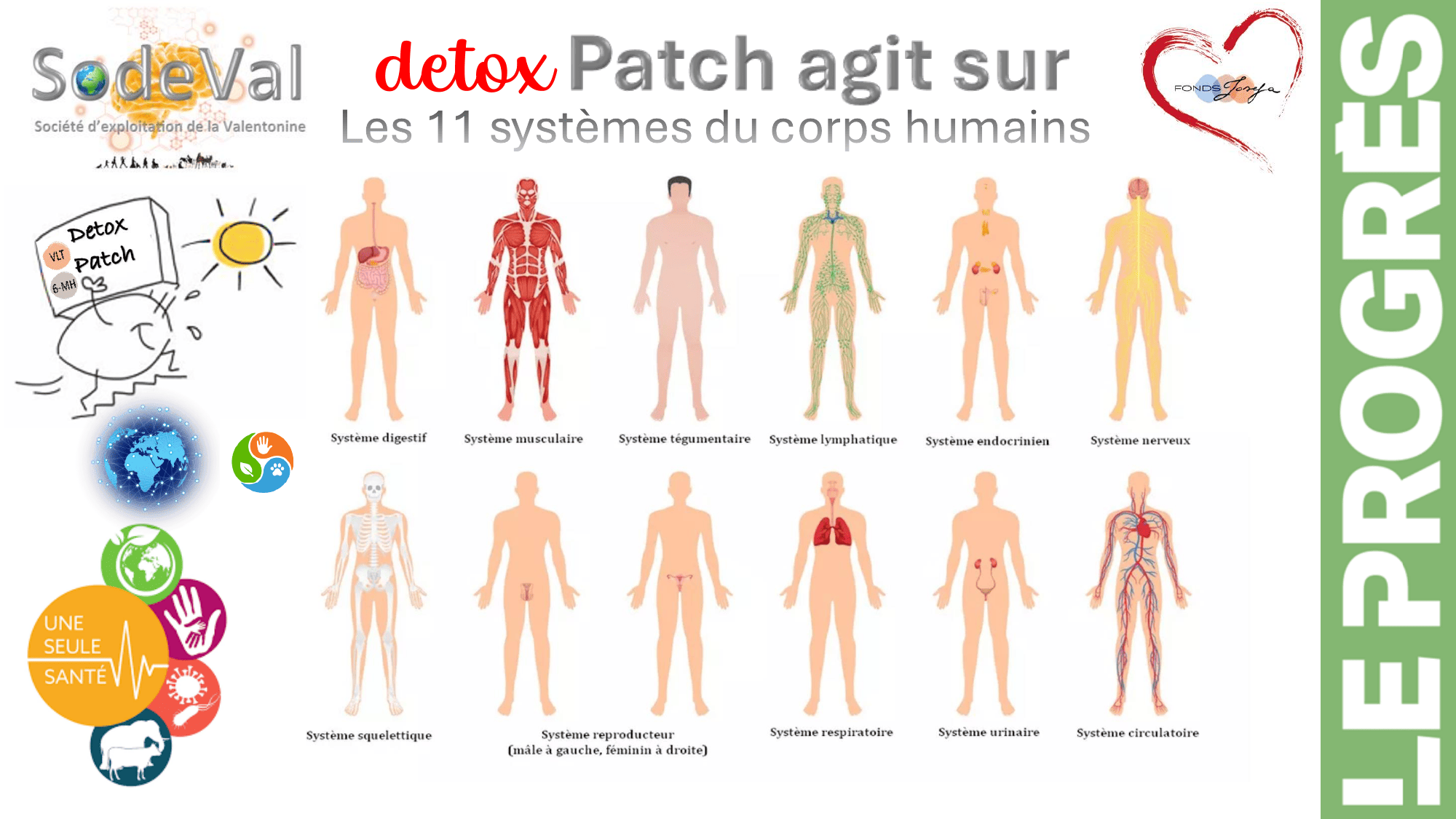 pourquoi-detoxpatch - Page 49