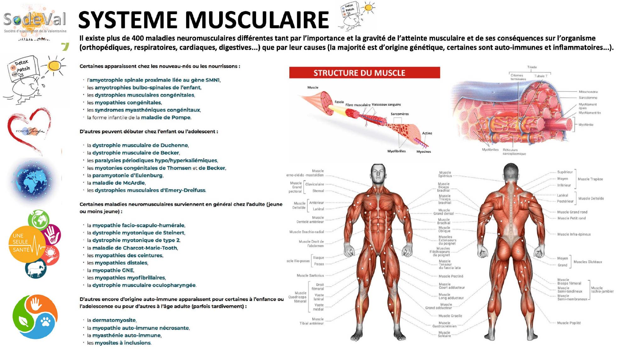 pourquoi-detoxpatch - Page 51