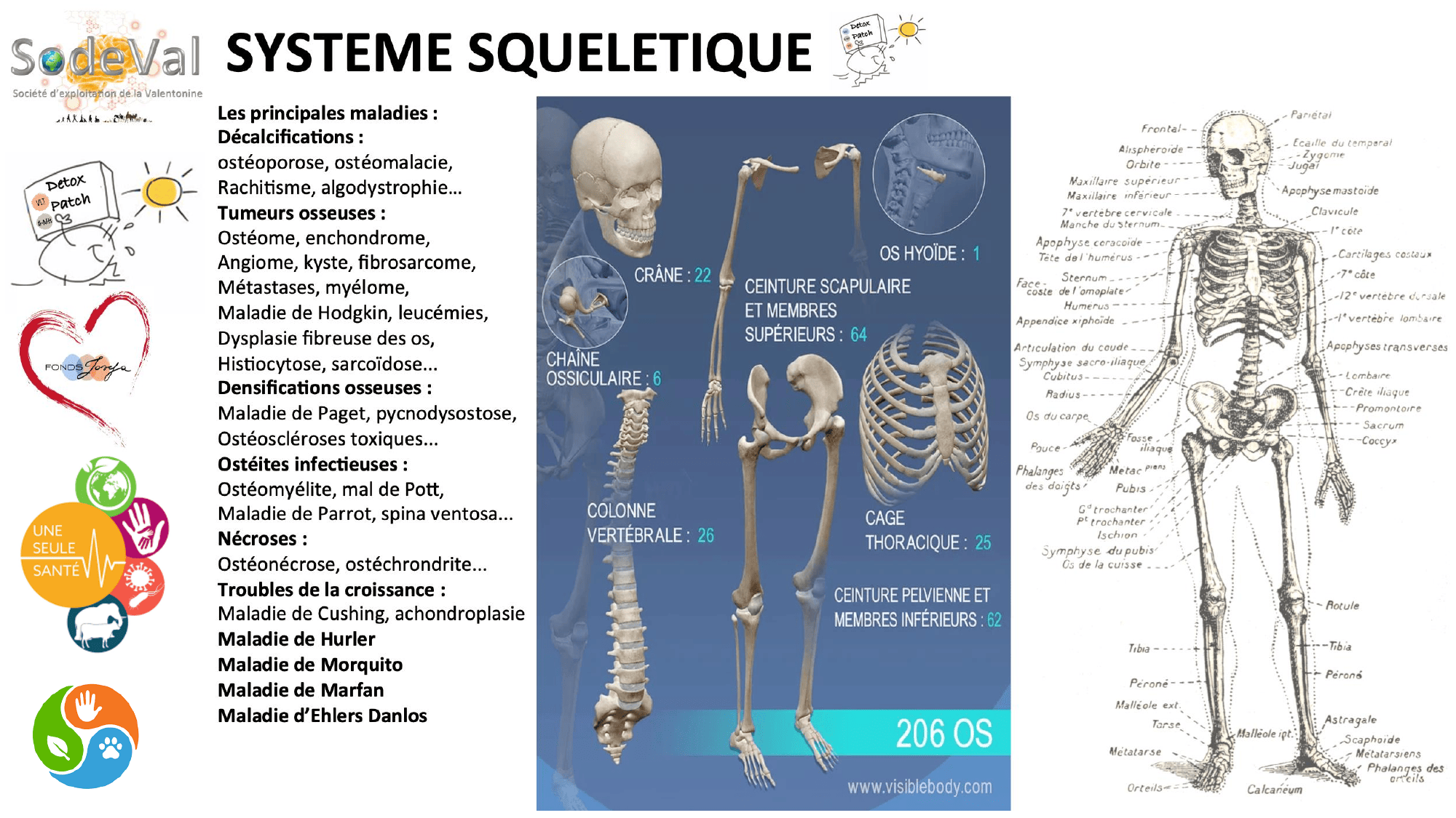 pourquoi-detoxpatch - Page 56