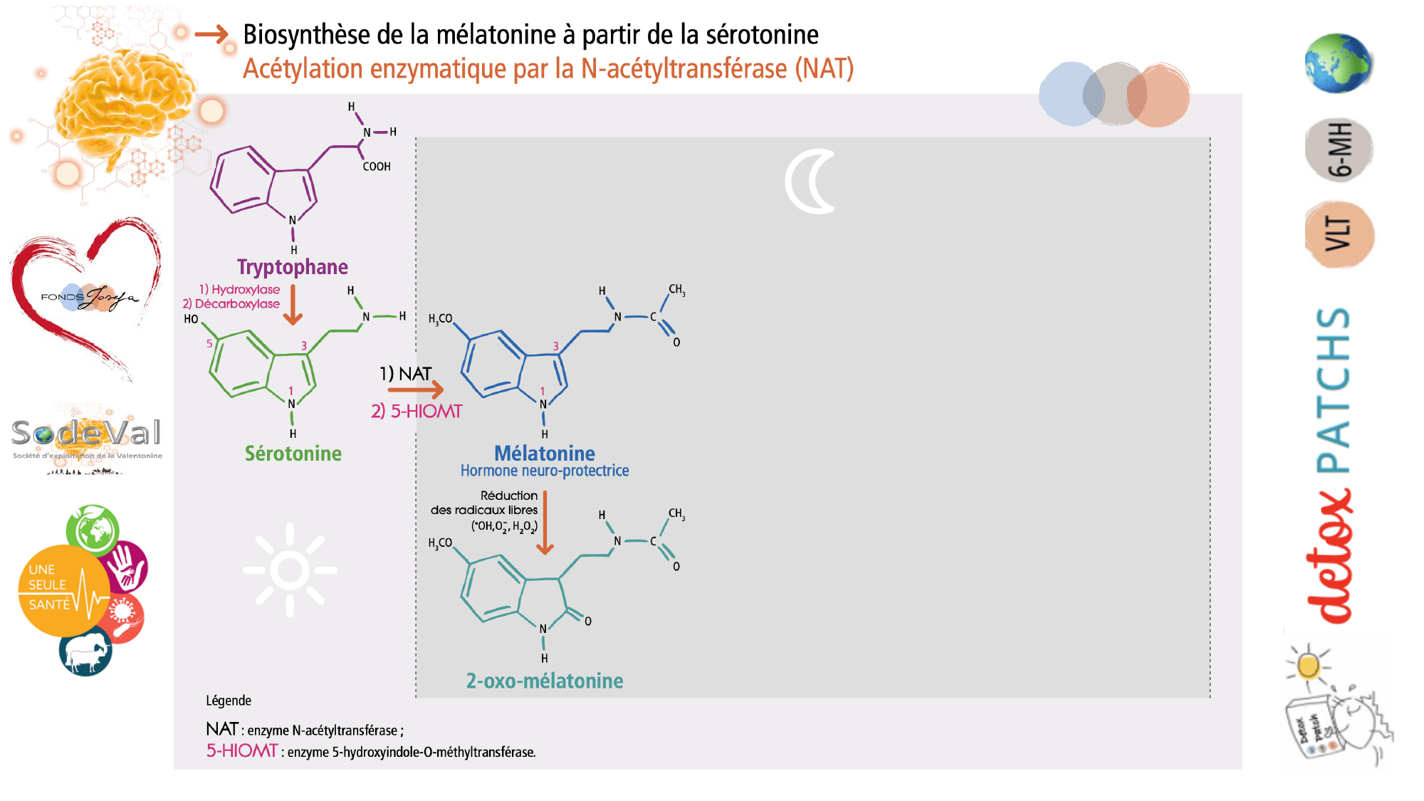 pourquoi-detoxpatch - Page 67