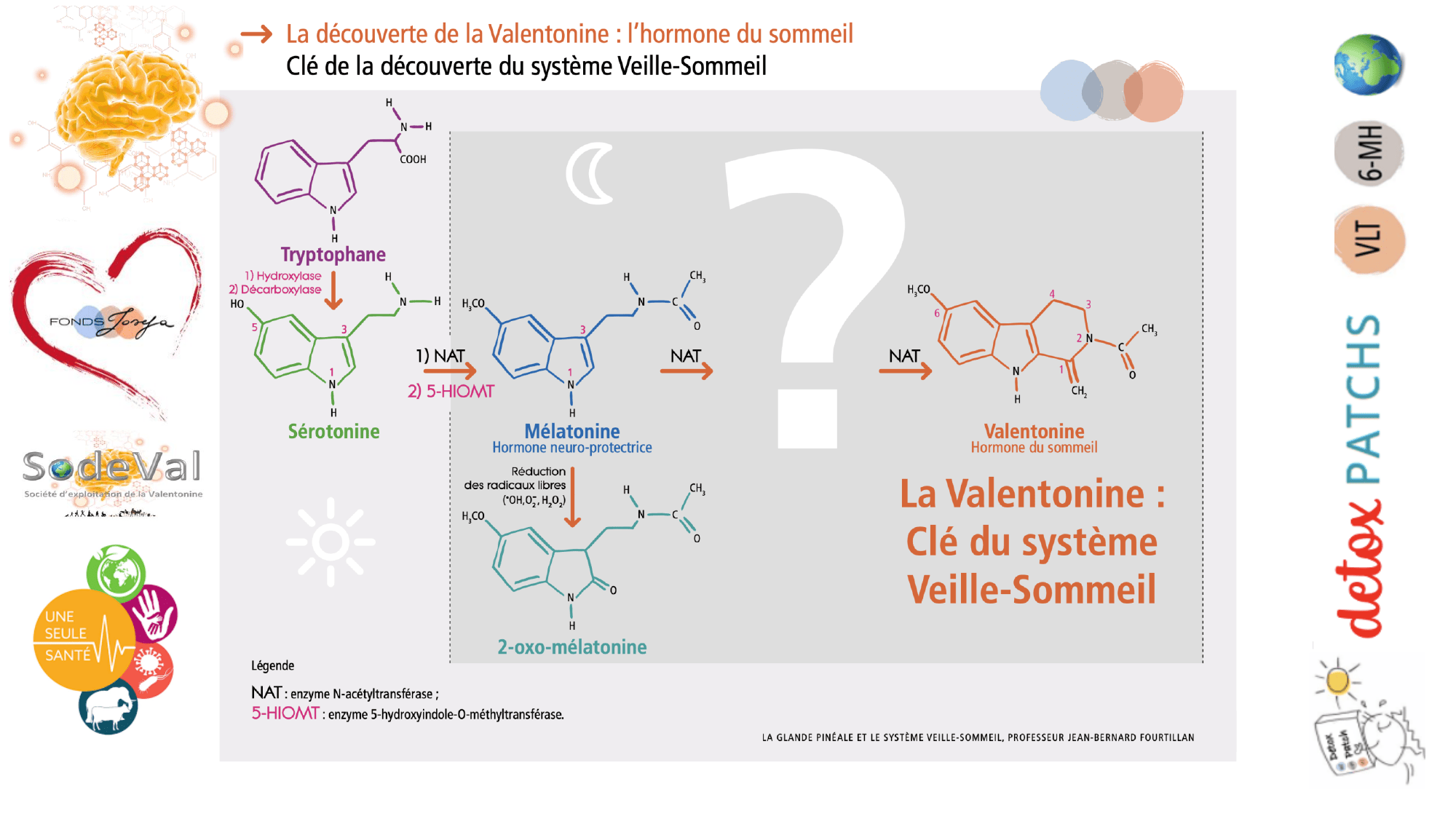 pourquoi-detoxpatch - Page 69