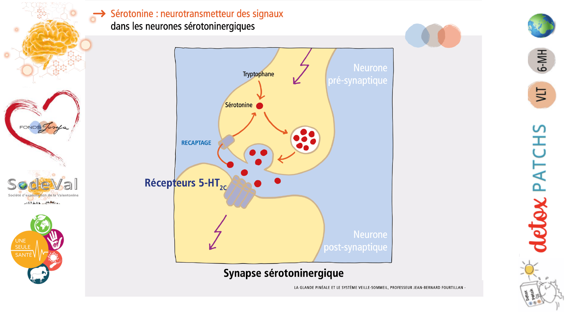pourquoi-detoxpatch - Page 76