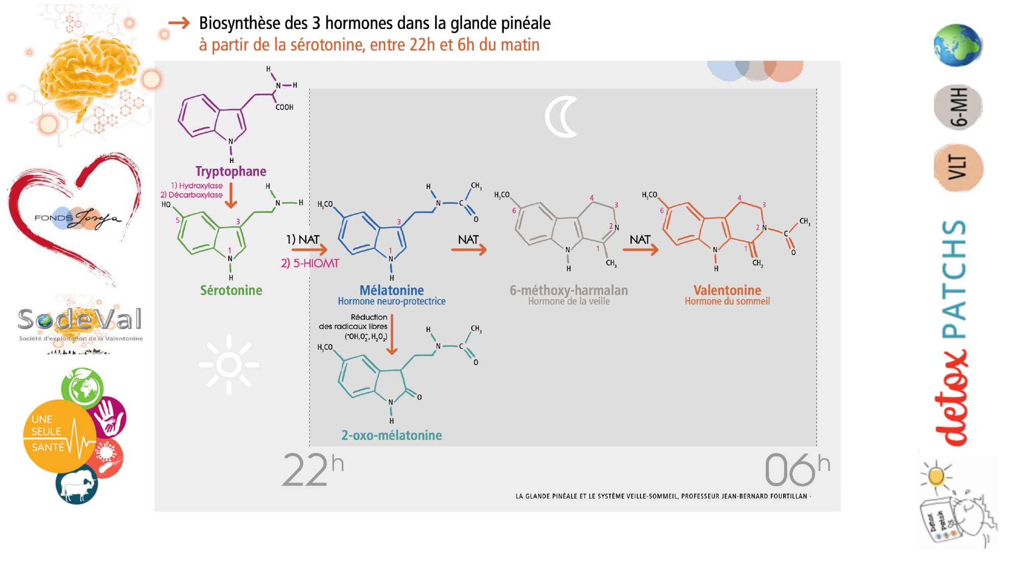 pourquoi-detoxpatch - Page 85
