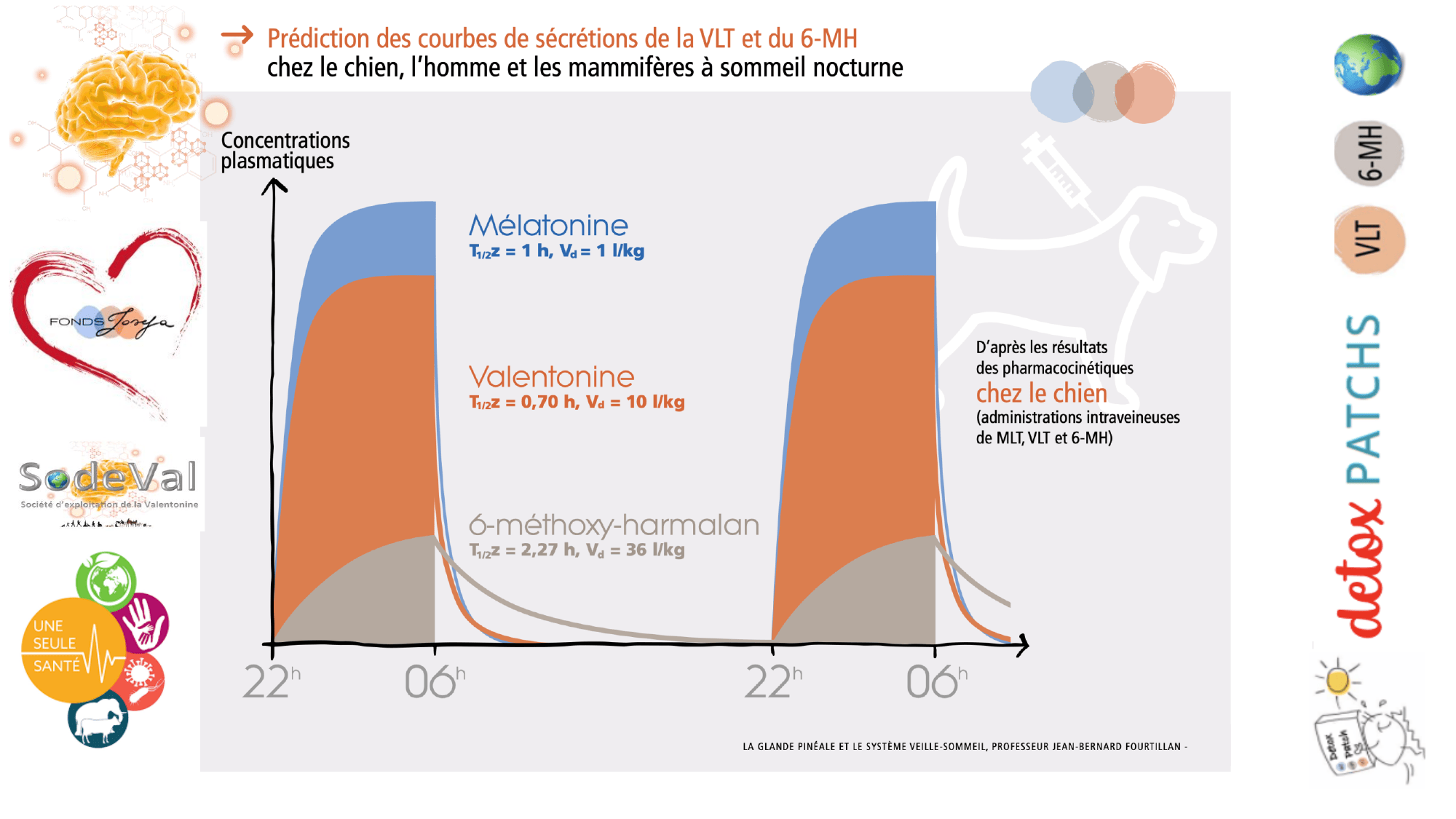 pourquoi-detoxpatch - Page 87