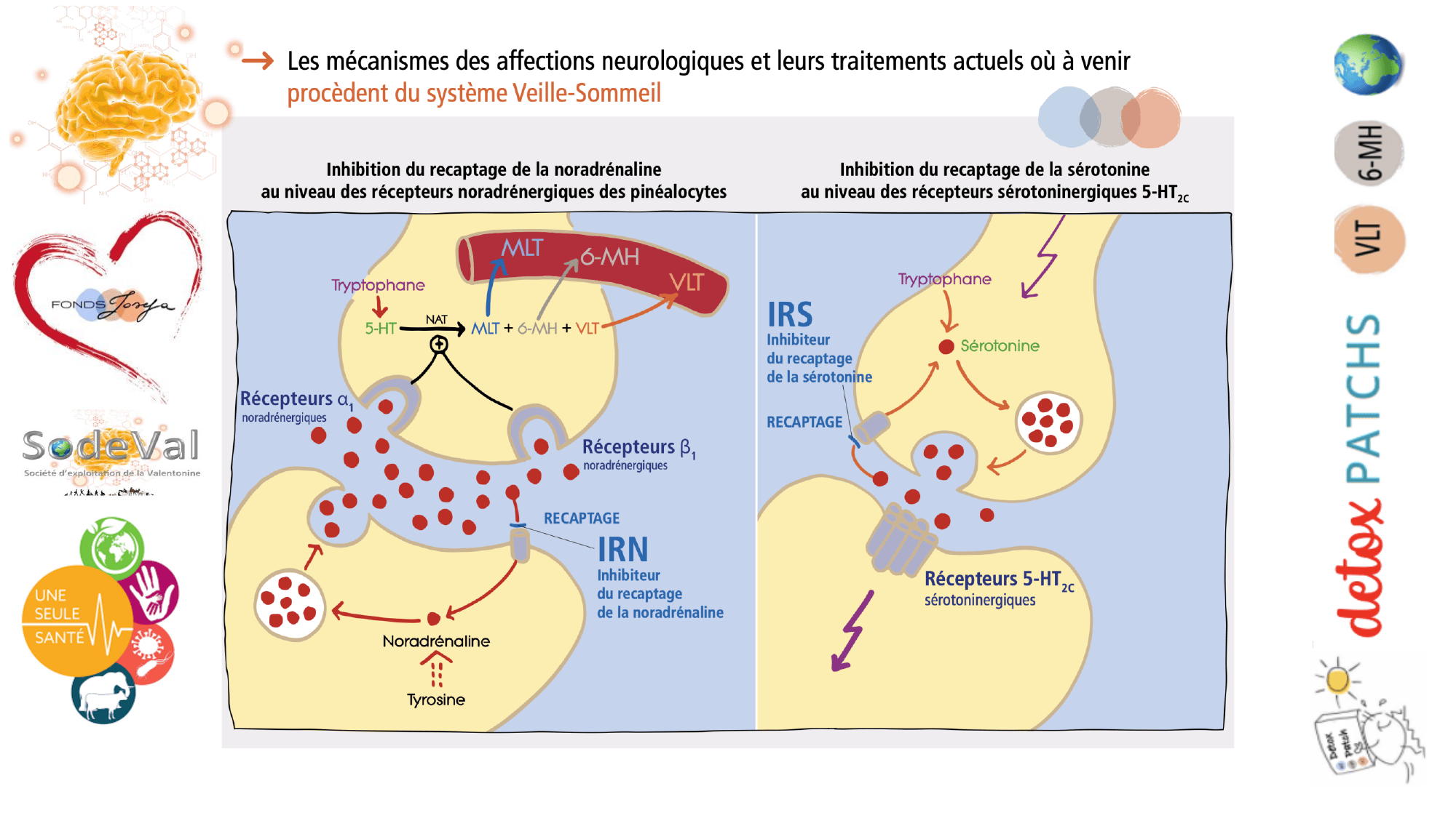 pourquoi-detoxpatch - Page 94