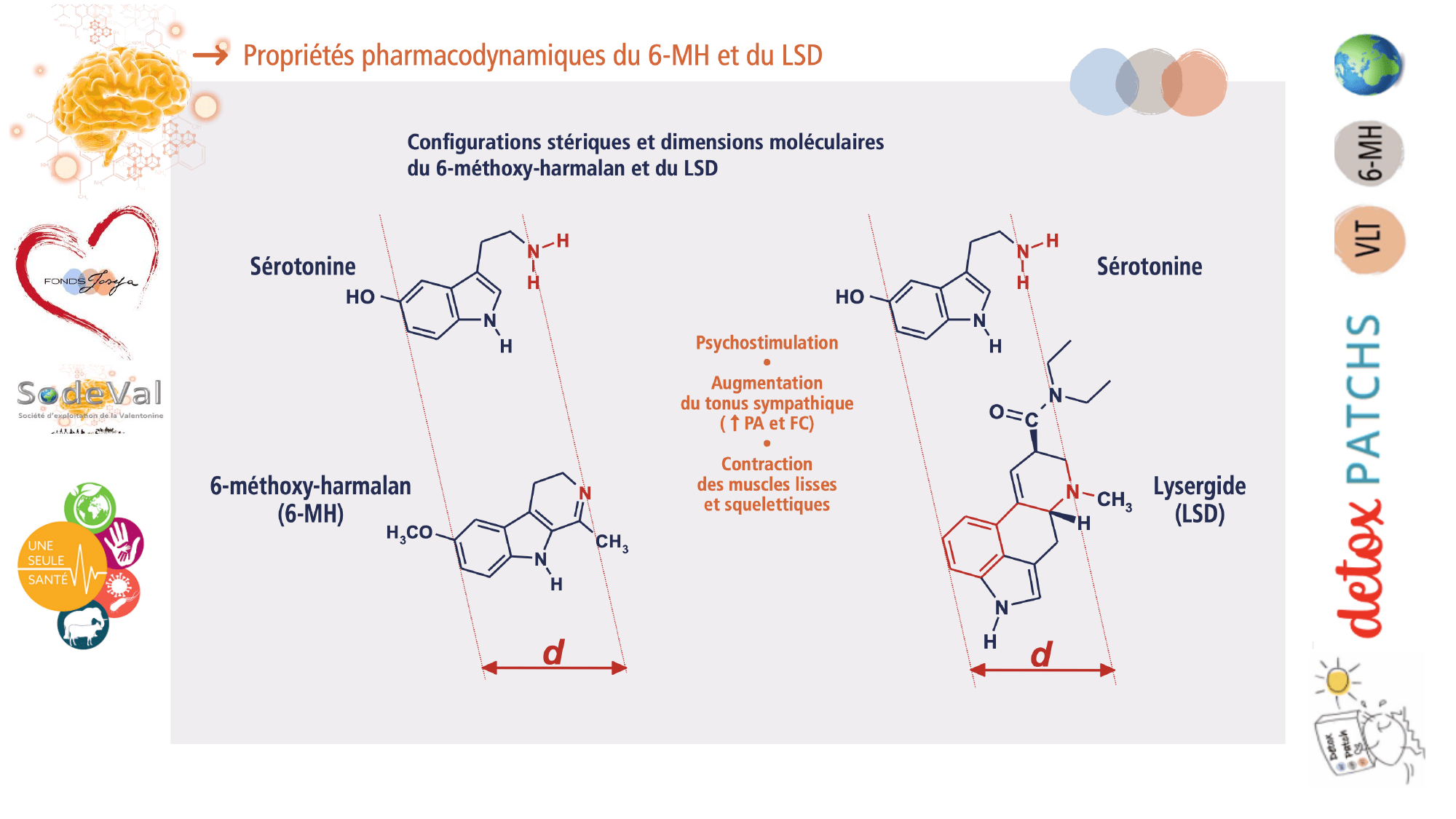 pourquoi-detoxpatch - Page 97