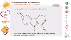 pourquoi-detoxpatch - Vignette Page 101