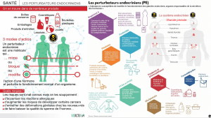 pourquoi-detoxpatch - Vignette Page 26