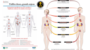 pourquoi-detoxpatch - Vignette Page 27