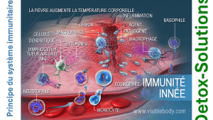 pourquoi-detoxpatch - Vignette Page 30