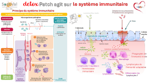 pourquoi-detoxpatch - Vignette Page 31