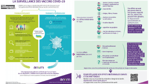 pourquoi-detoxpatch - Vignette Page 44