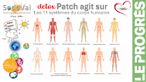 pourquoi-detoxpatch - Vignette Page 49