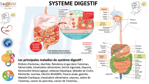 pourquoi-detoxpatch - Vignette Page 50