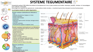 pourquoi-detoxpatch - Vignette Page 52