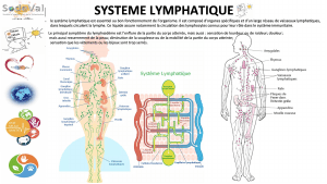 pourquoi-detoxpatch - Vignette Page 53
